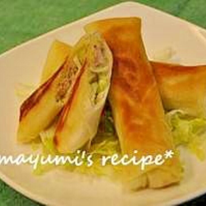 野菜たっぷりサラダ春巻き